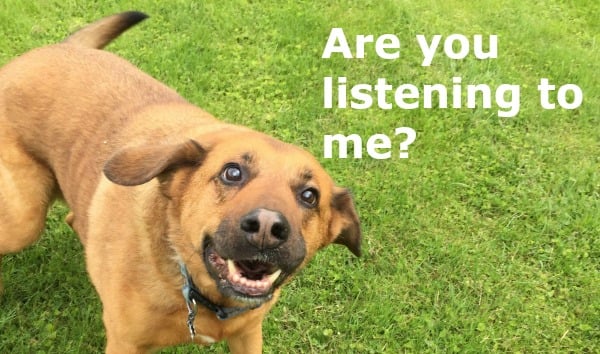 Are you listening to me
