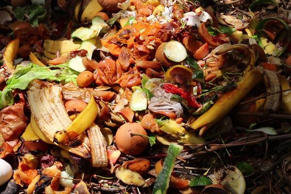 Case Study Organics to Energy anaerobic digester