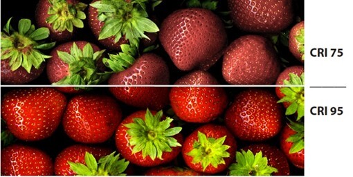 Color Perception