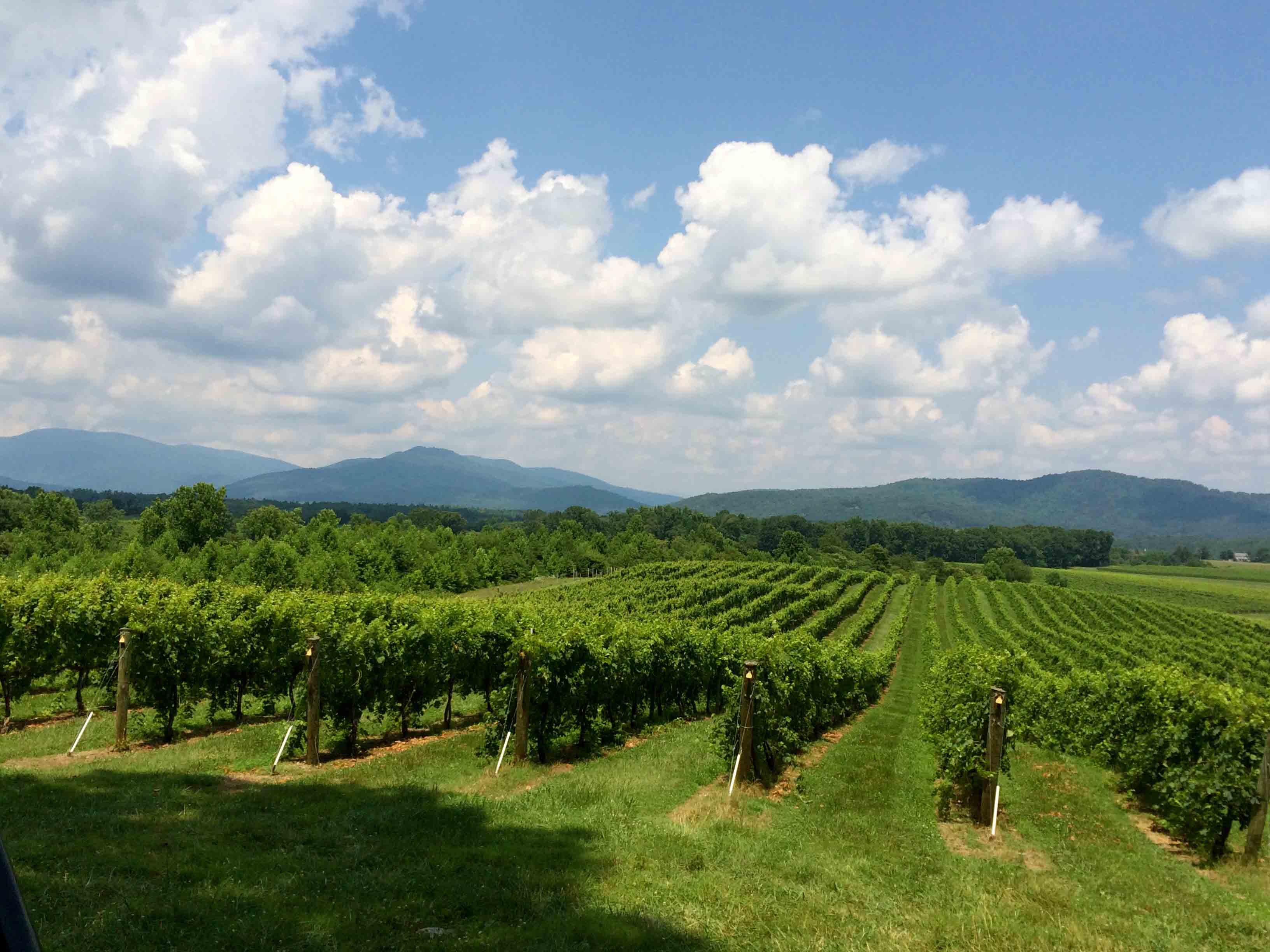 Snow Farm Vineyard