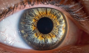 Human Eye