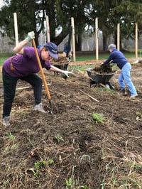 Getting Our Hands Dirty