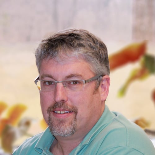 How to Organize Your Safety Requirement Specification (SRS)