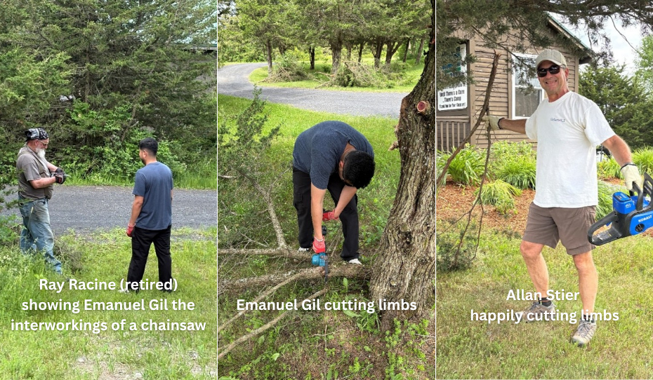 Limb Trimming (1)