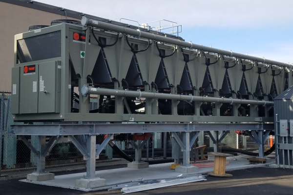 Organogenesis Chill Plant