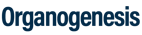 Organogenesis-05