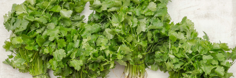 Parsley