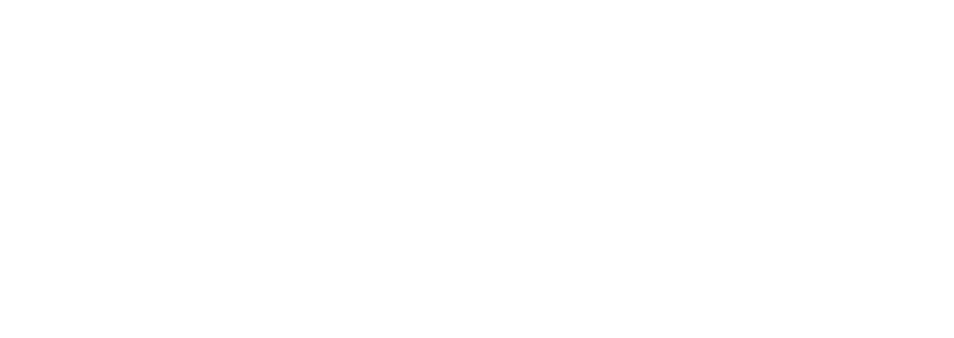 RA-Partner-System-Integrator_SILVER_white-1300