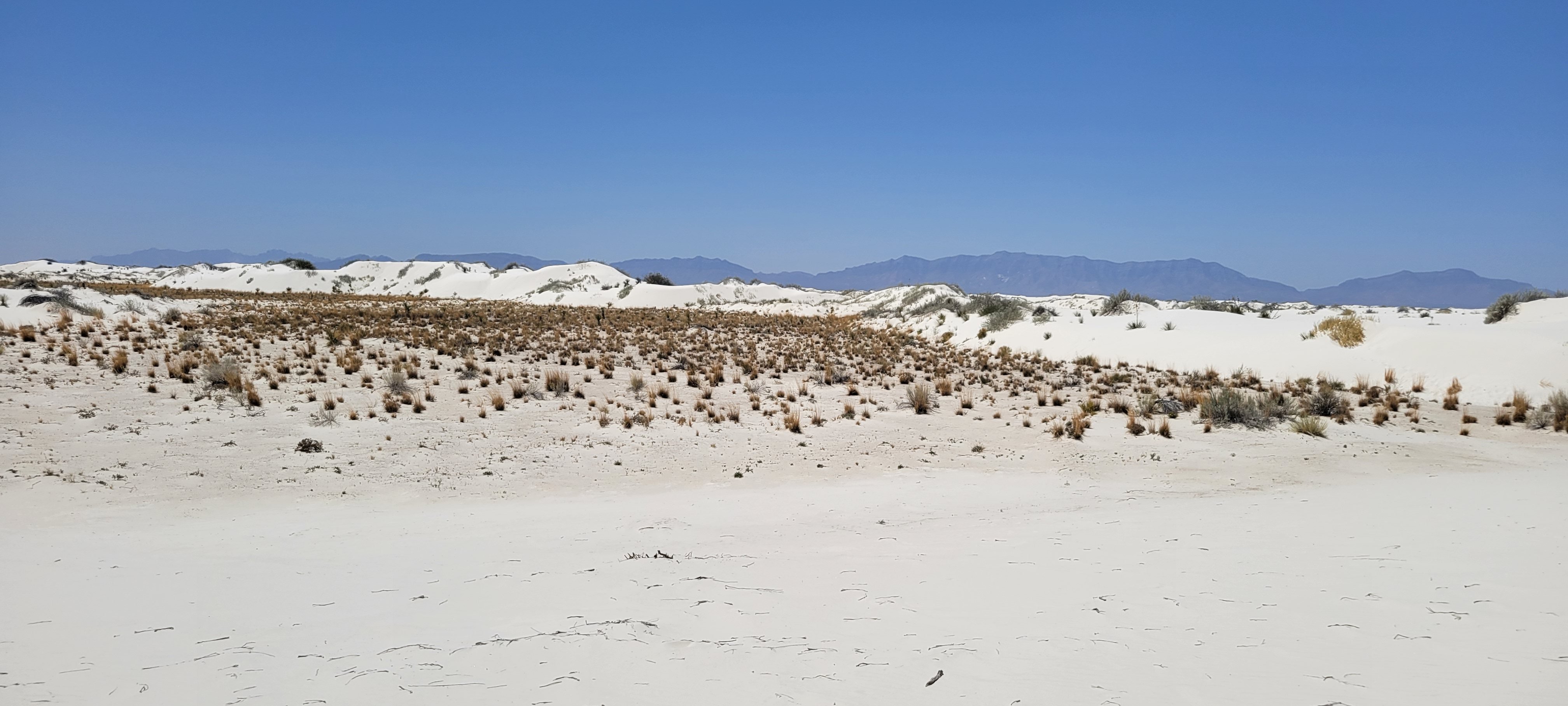 White Sands-1