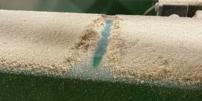 dust hazard1