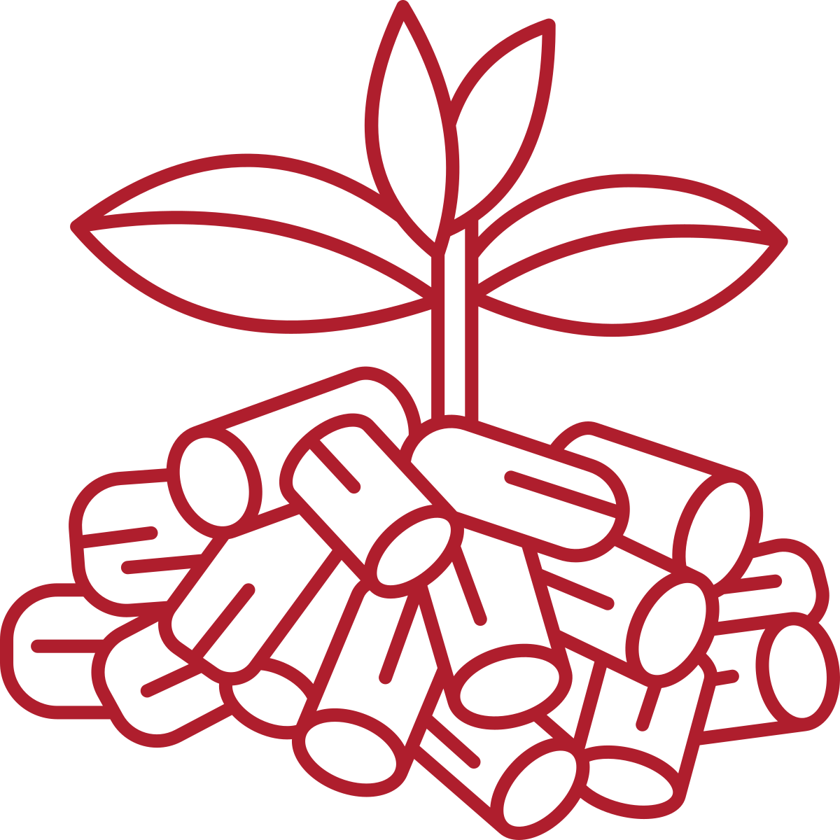 noun-biomass-5683108-AF1E2D