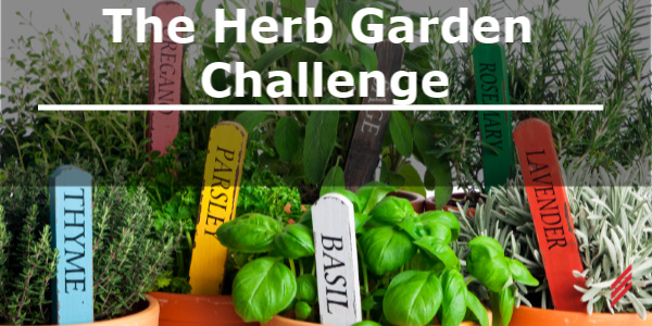 Blog_herbgardenchallenge