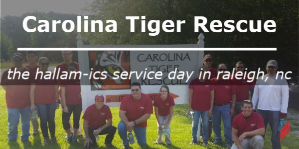 Blog_tigerrescue